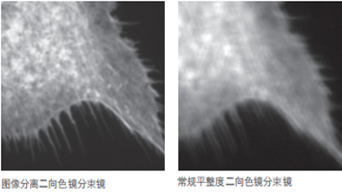 compare flatness of image-splitting dichroic beamsplitter to standard dichroic beamsplitter