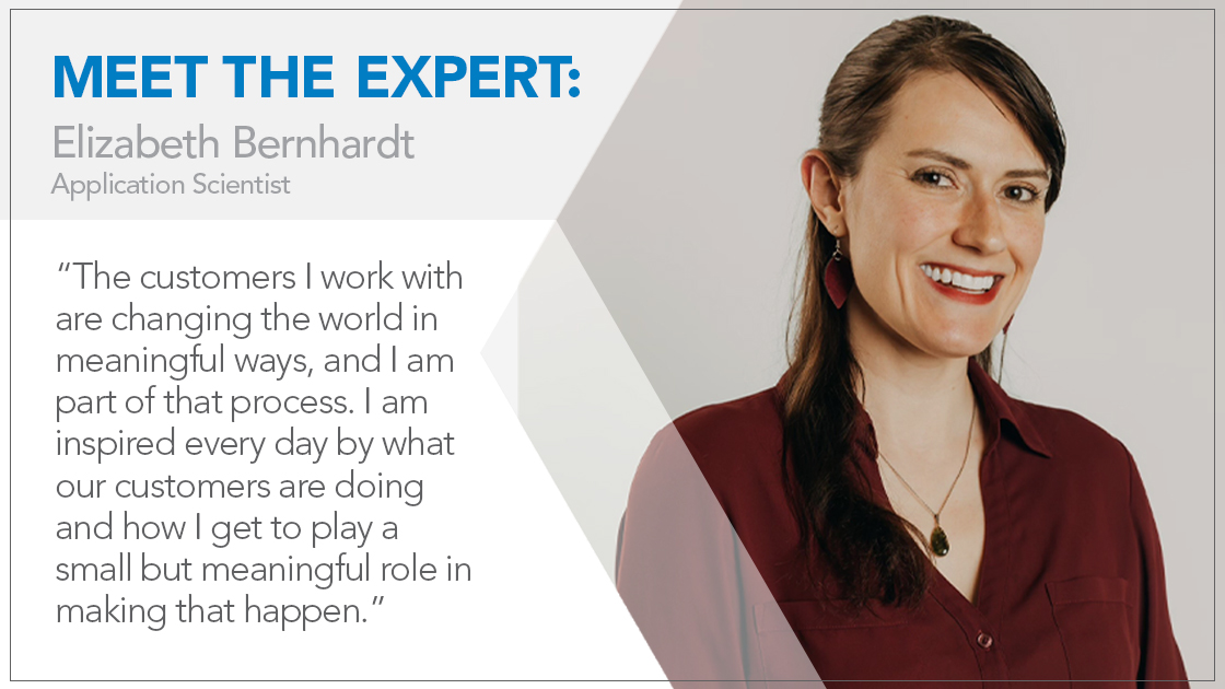 认识我们的工程师之一：Elizabeth Bernhardt 博士