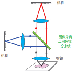 diagram illustrating a camera setup with an image-splitting dichroic beamsplitter