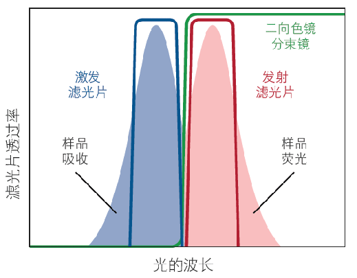 transmission graph illustrating the use of a fluorescence filter