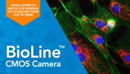 使用 BioLine™ CMOS 相机提升您的成像能力
