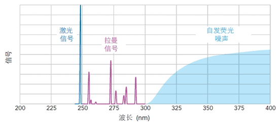 UV Raman Spectroscopy